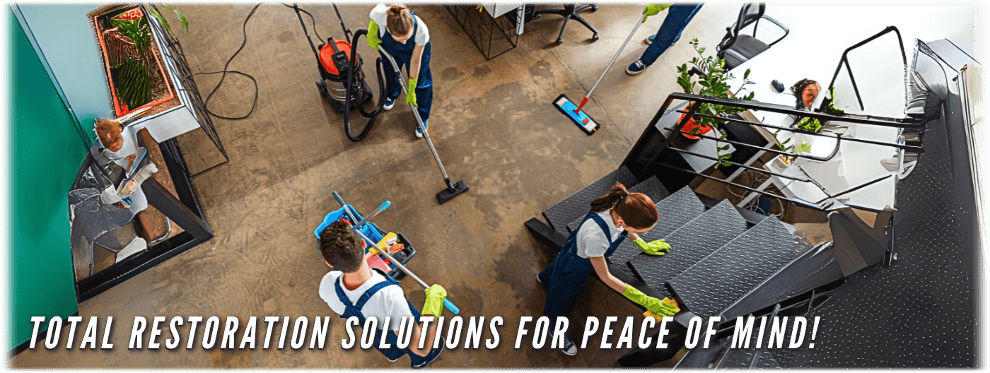 BlueWave Restoration